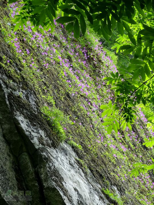 6.2 九鼎万花山--黑沟穿越DSC00774_副本