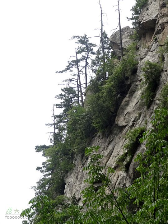 6.2 九鼎万花山--黑沟穿越DSC00776_副本