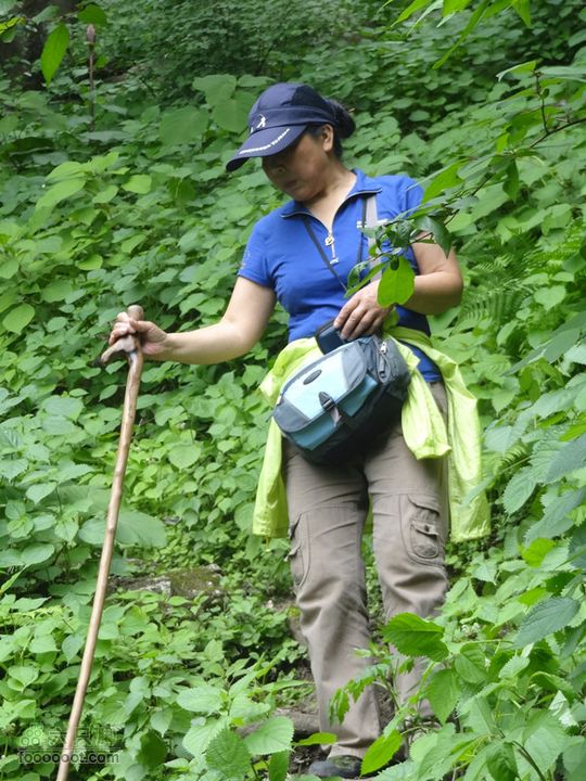 6.2 九鼎万花山--黑沟穿越DSC00777_副本