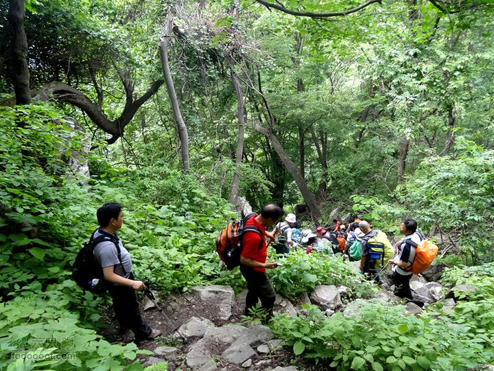 6.2 九鼎万花山--黑沟穿越DSC00792_副本