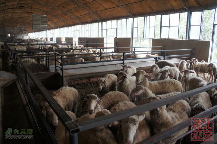 北京骑迹47 寻北京唯一一座无梁阁 访兴隆观羊圈