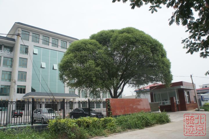 北京骑迹47 寻北京唯一一座无梁阁 访兴隆观山东庄镇政府（刚刚竣工，牌子还没来得及挂）