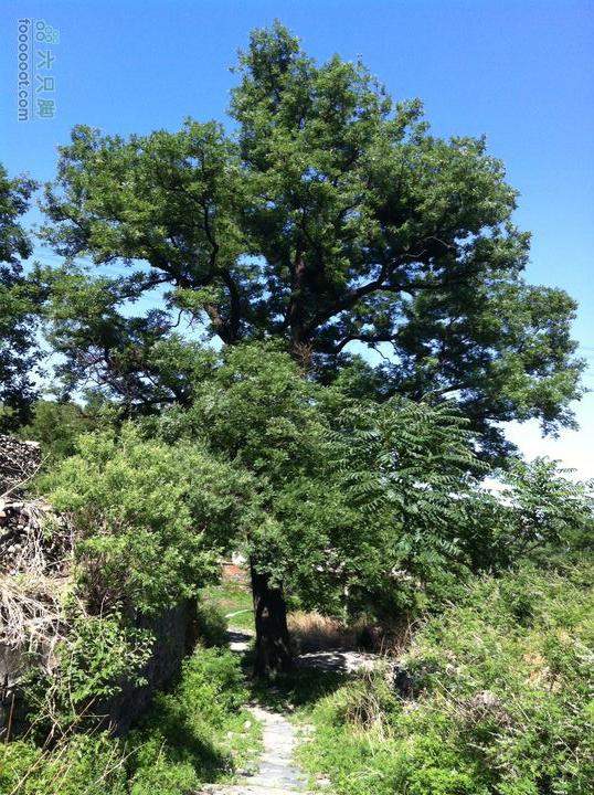 京西古道：王平-峰口庵-圈门IMG_1530