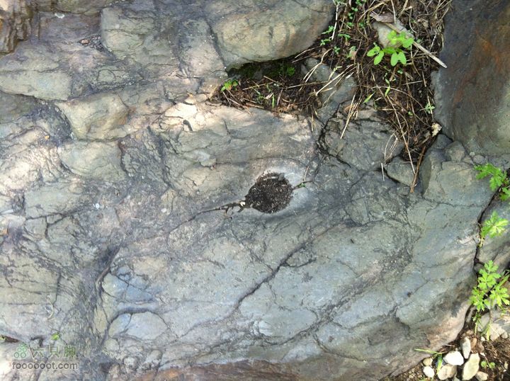 京西古道：王平-峰口庵-圈门IMG_1534