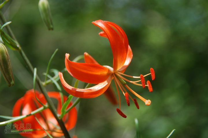 京西古道：王平-峰口庵-圈门DSC_0036