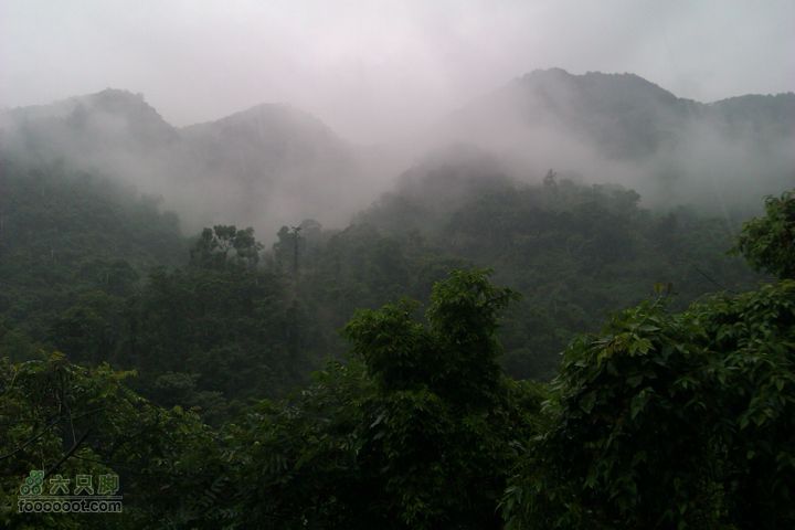 福州 雨中的森林公园雨中远山
