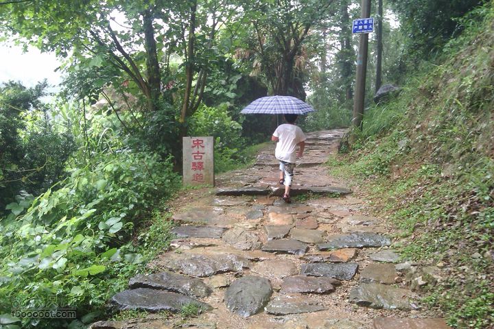 福州 雨中的森林公园1