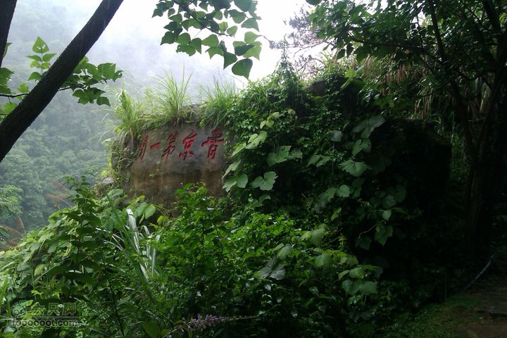 福州 雨中的森林公园1
