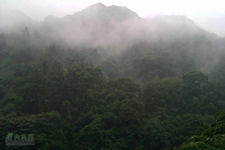 福州 雨中的森林公园1