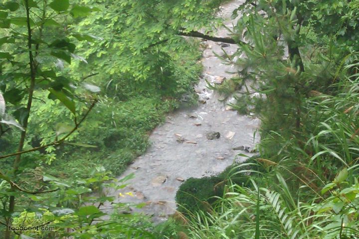 福州 雨中的森林公园1