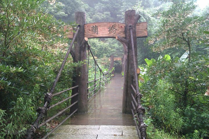 福州 雨中的森林公园兰桥