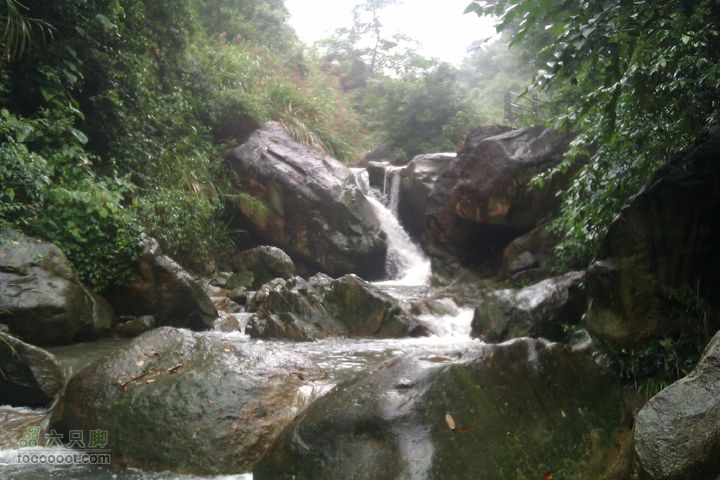 福州 雨中的森林公园IMAG0738