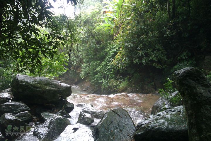福州 雨中的森林公园IMAG0739