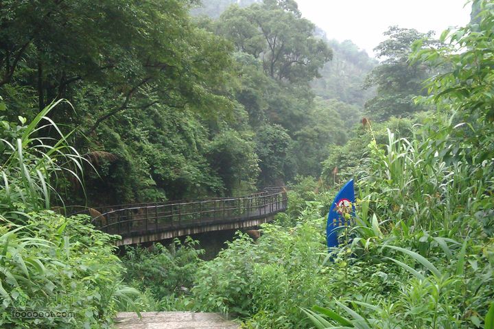 福州 雨中的森林公园1