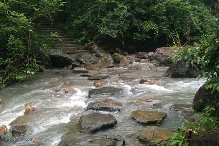 福州 雨中的森林公园小石道