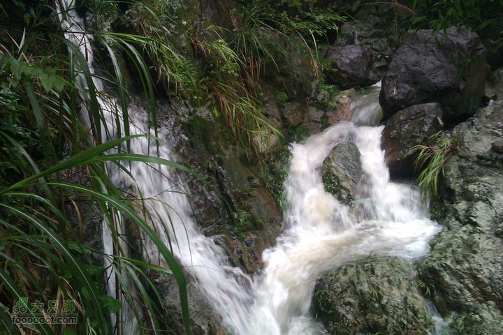 福州 雨中的森林公园1