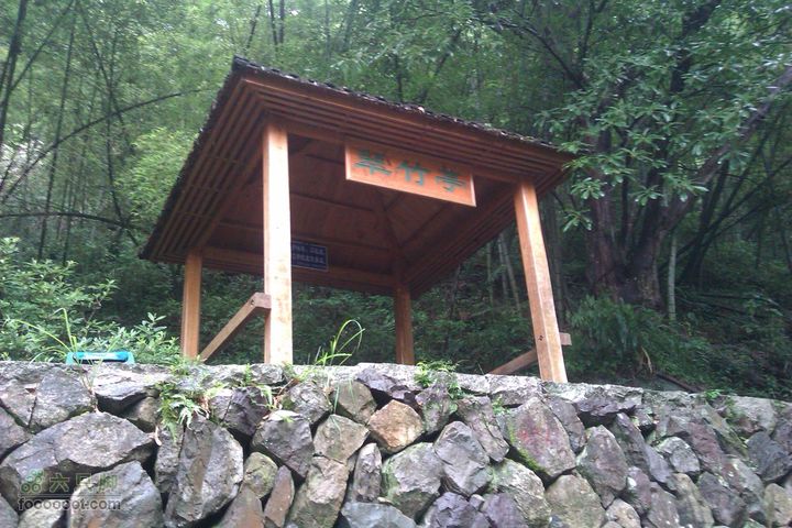 福州 雨中的森林公园1