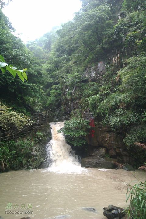 福州 雨中的森林公园1