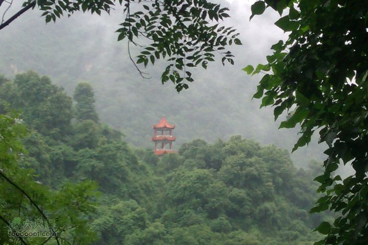 福州 雨中的森林公园1