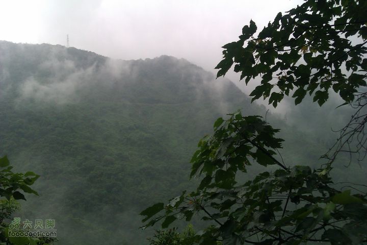 福州 雨中的森林公园IMAG0760