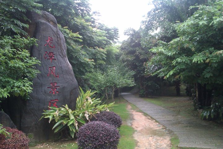 福州 雨中的森林公园1