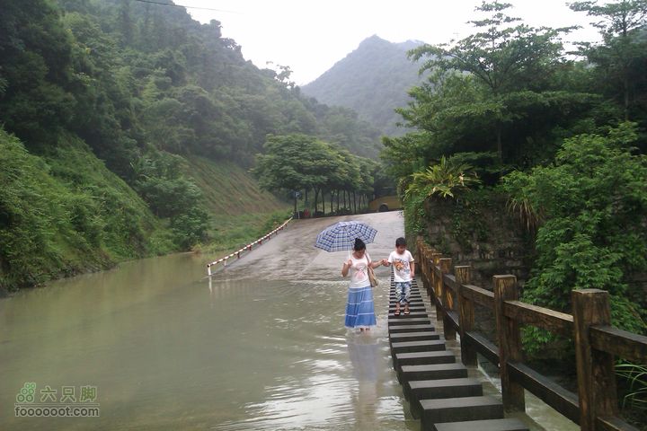 福州 雨中的森林公园1