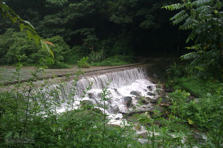 福州 雨中的森林公园IMAG0771