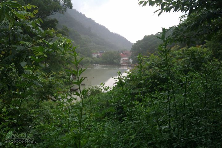 福州 雨中的森林公园1