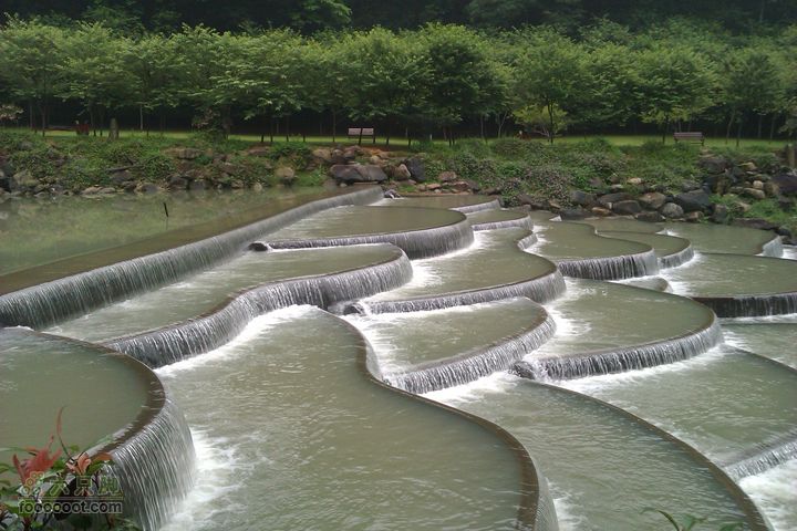 福州 雨中的森林公园1