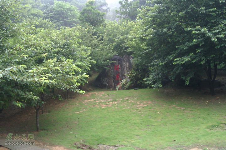 福州 雨中的森林公园1