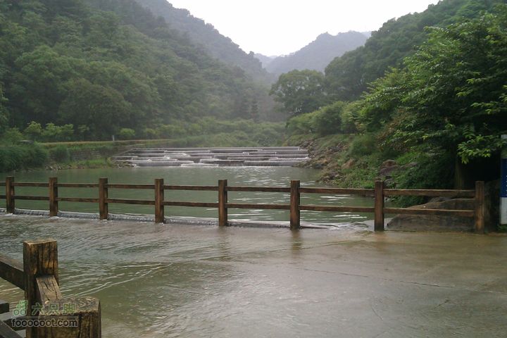 福州 雨中的森林公园1