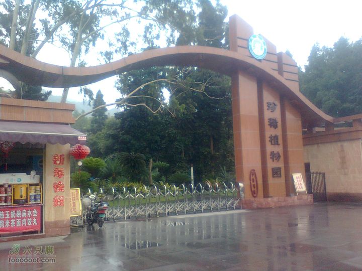 福州 雨中的森林公园1