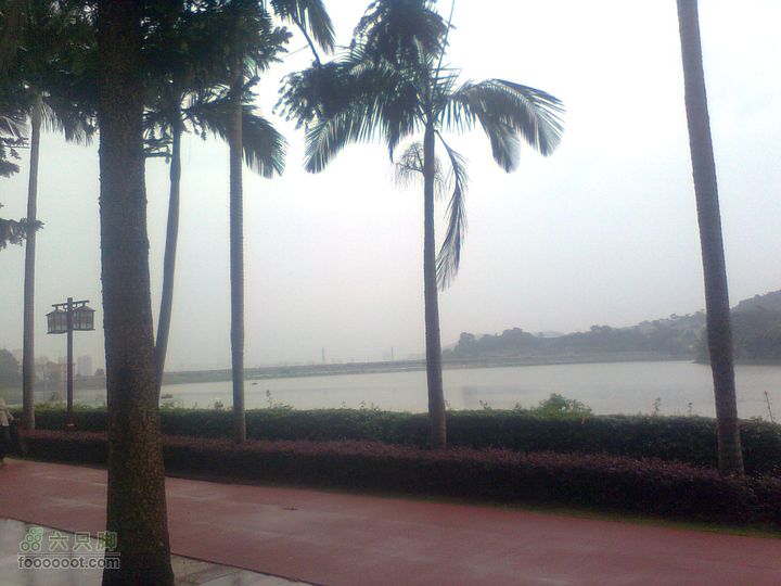 福州 雨中的森林公园1