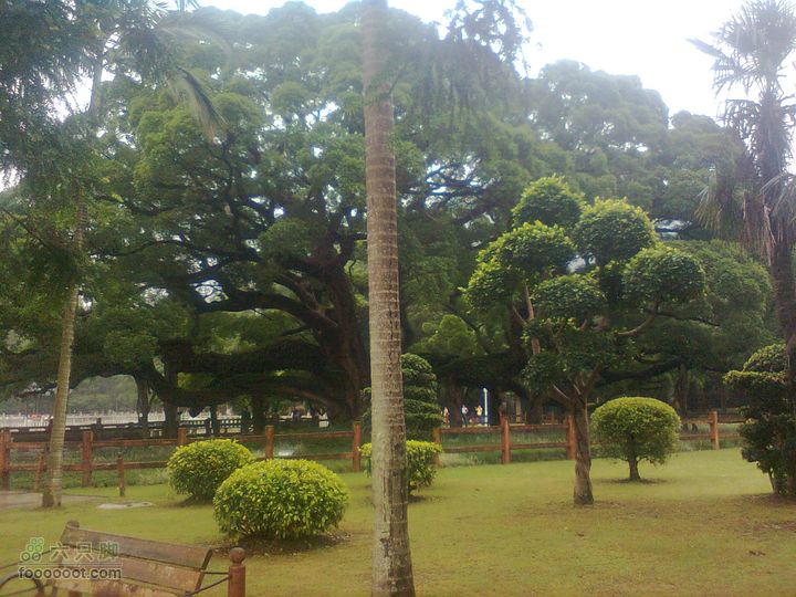 福州 雨中的森林公园1