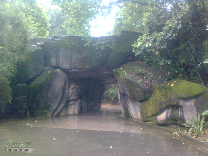 福州 雨中的森林公园图像0919