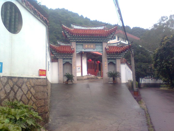 福州 雨中的森林公园正心寺