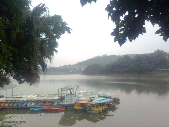 福州 雨中的森林公园1