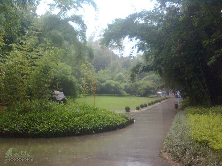 福州 雨中的森林公园终于快到大门口了