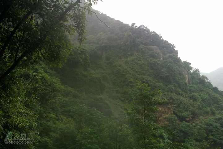 福州 雨中的森林公园IMAG0761