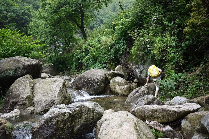 安吉井空里峡谷经典路线（谷底上行，红旗渠下）P1080231