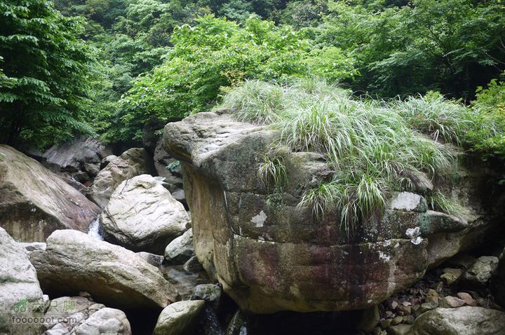 安吉井空里峡谷经典路线（谷底上行，红旗渠下）P1080374