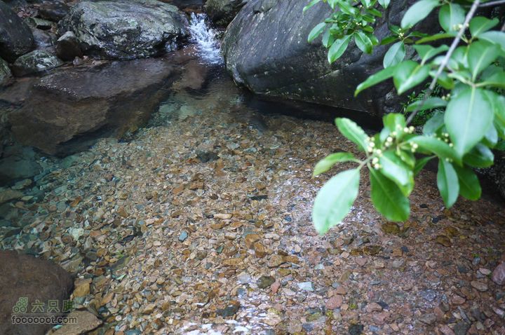 安吉井空里峡谷经典路线（谷底上行，红旗渠下）P1080284