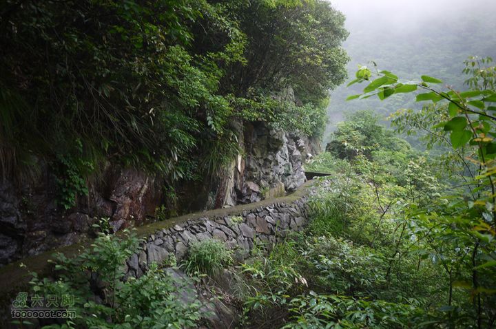 安吉井空里峡谷经典路线（谷底上行，红旗渠下）P1080495