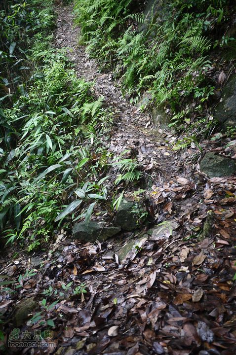 安吉井空里峡谷经典路线（谷底上行，红旗渠下）P1080536