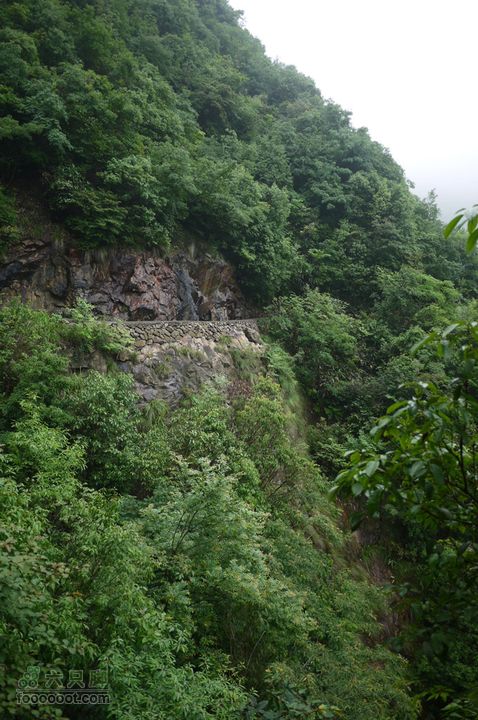 安吉井空里峡谷经典路线（谷底上行，红旗渠下）P1080510