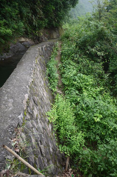 安吉井空里峡谷经典路线（谷底上行，红旗渠下）P1080515