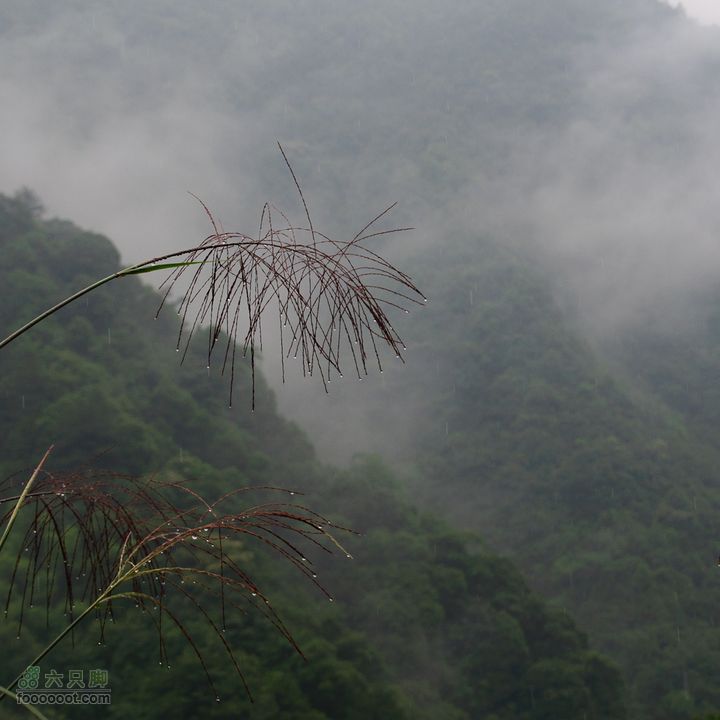 探秘徽开古道-----泰厦到白际徒步穿越穿越白际-0032