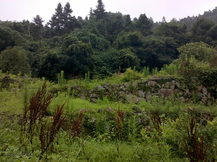 鼓岭牛头寨－南洋村－白眉水库2012_0616_132053