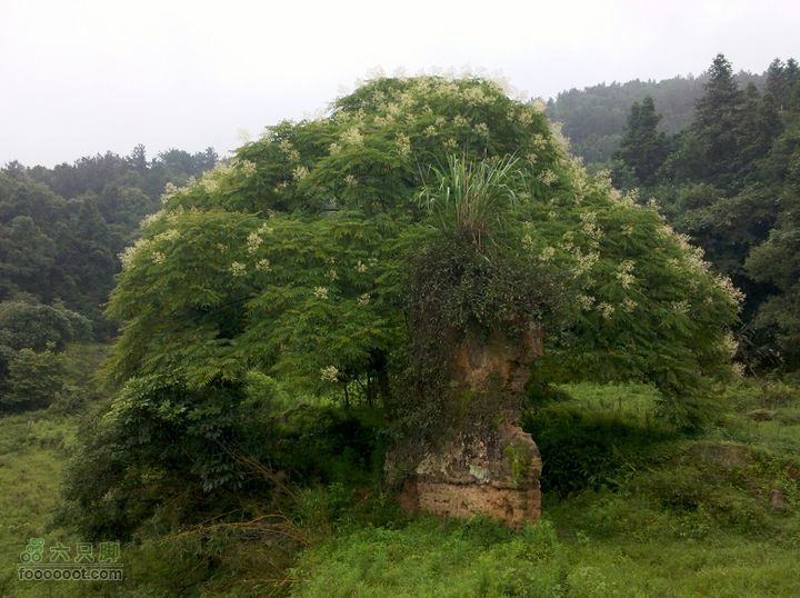 鼓岭牛头寨－南洋村－白眉水库2012_0616_132252