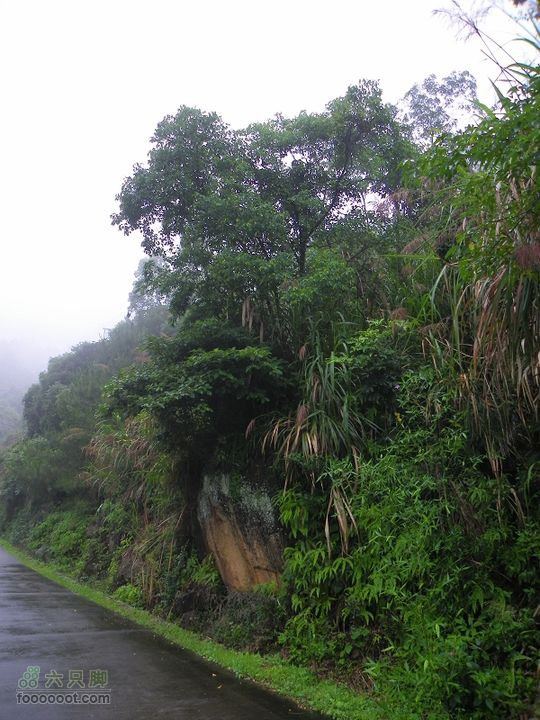 鼓岭牛头寨－南洋村－白眉水库2012_0616_142723